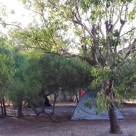 Blue Aura Camping Camping Kolympithres